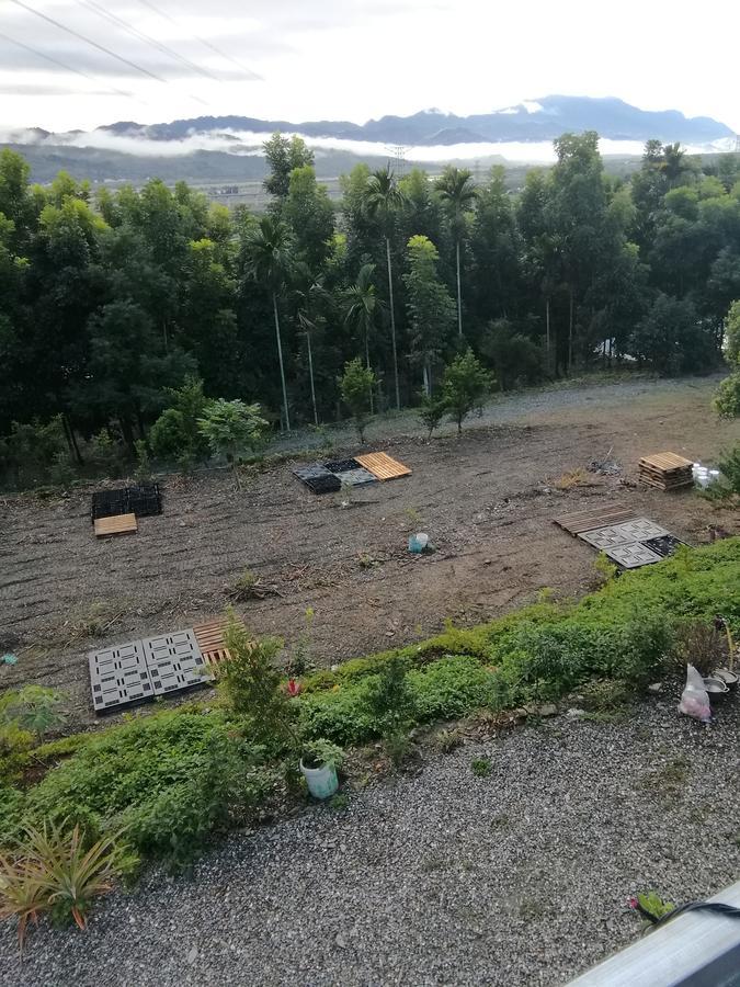 台東民宿 關山桃花心木民宿農場 Guanshan Exteriör bild